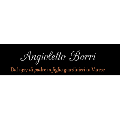 Angioletto Borri Logo