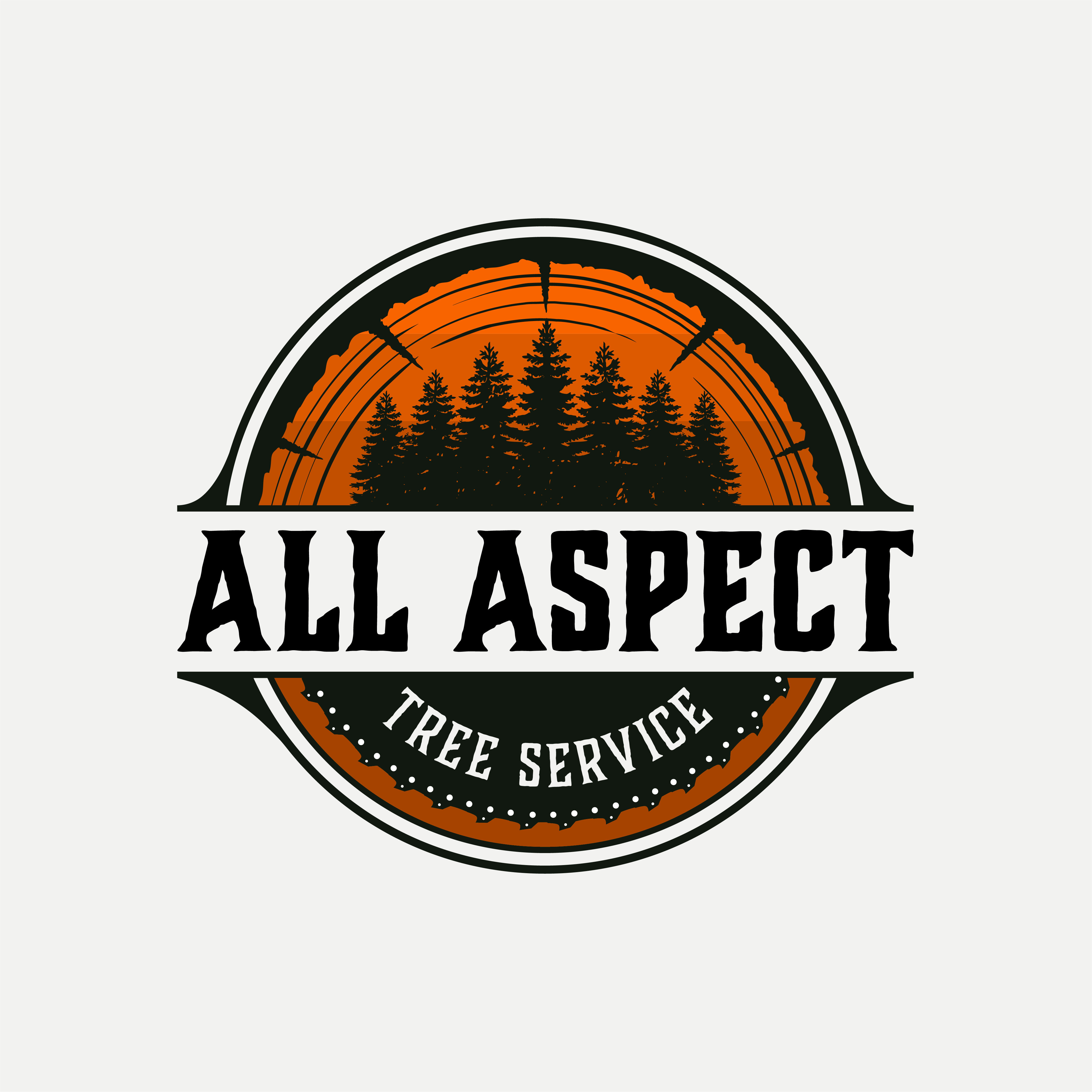 All Aspect Tree Service