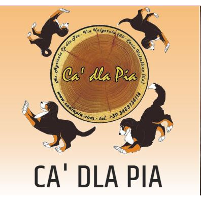 Ca Dla Pia Logo