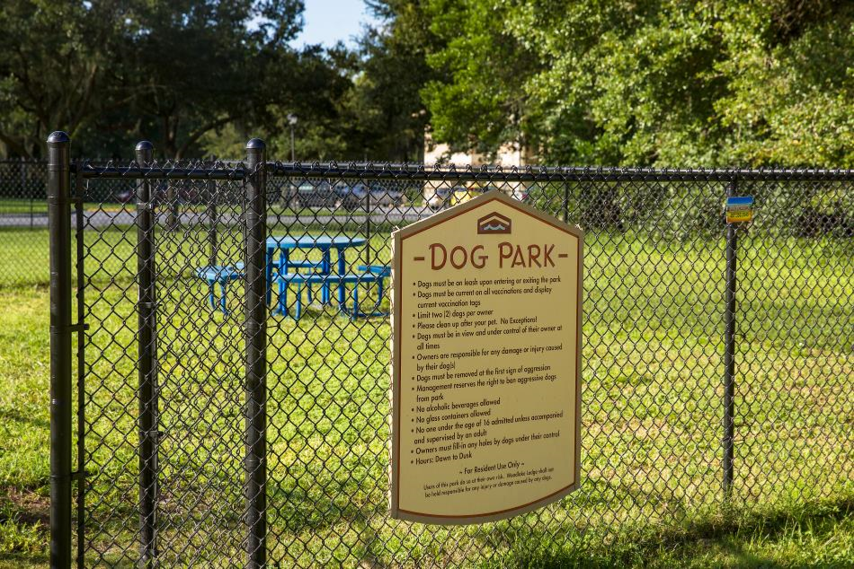 Bark park