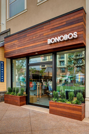 Images Bonobos