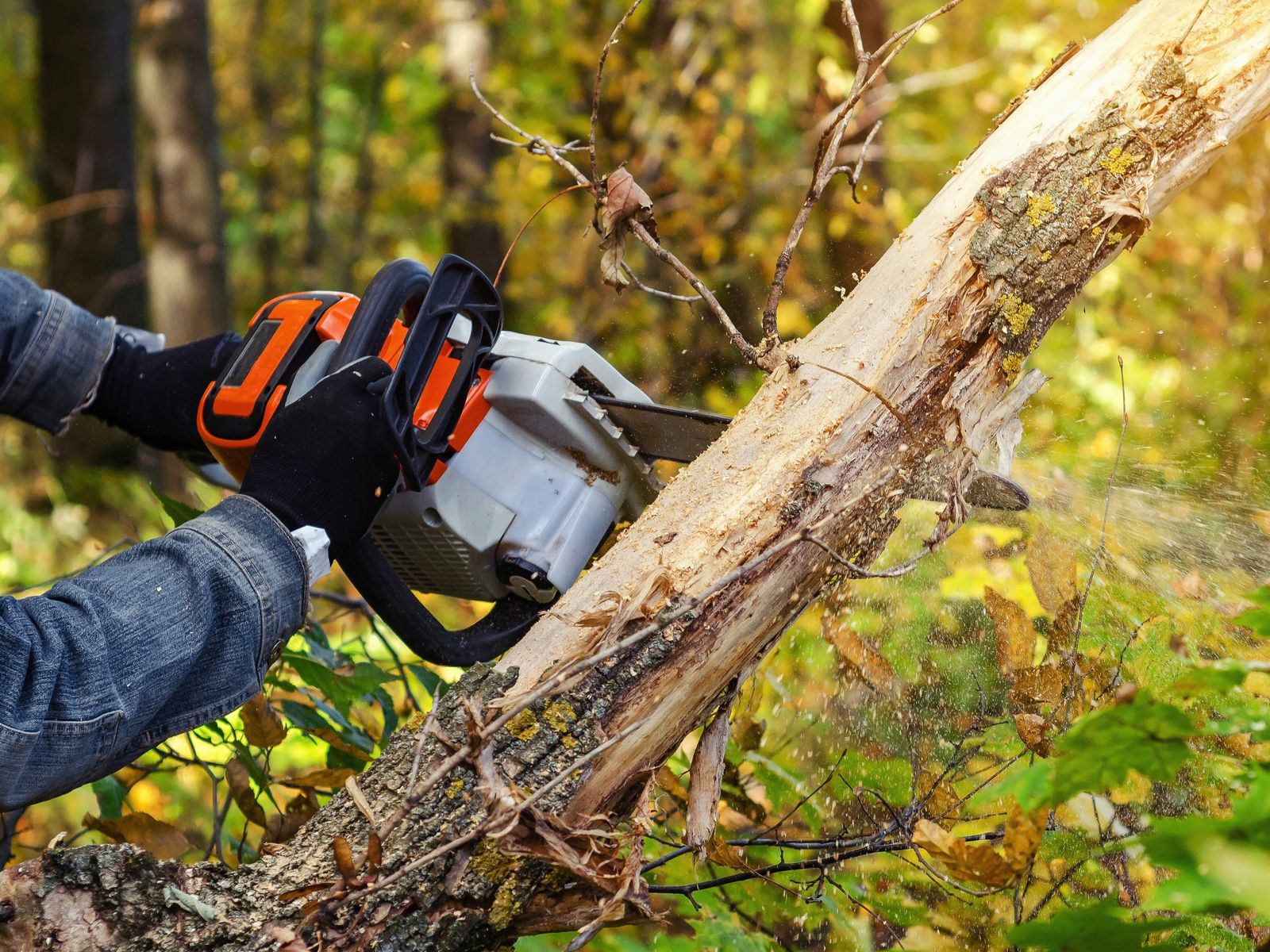 Howie's C & H Tree Service, Inc.