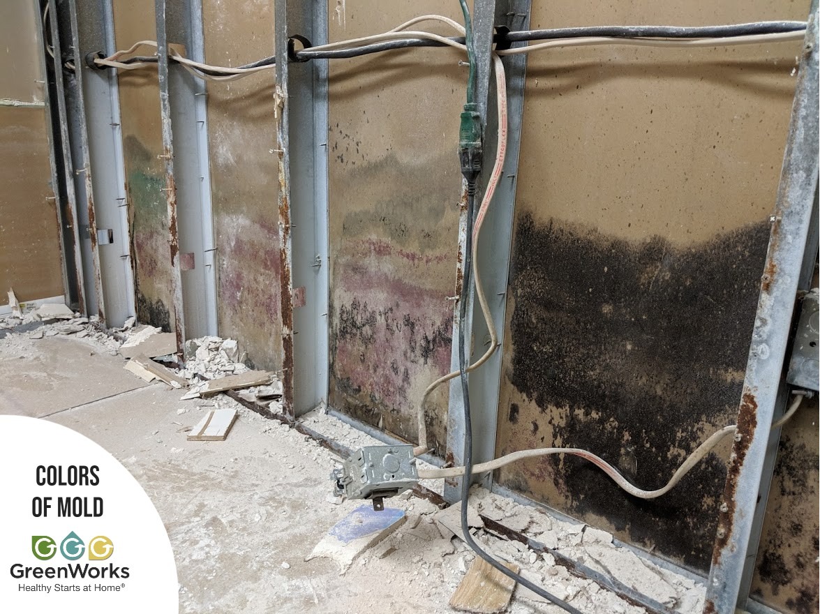 Mold growth inspection photo showing discoloration on structural framing, highlighting that mold can appear in different colors and forms.