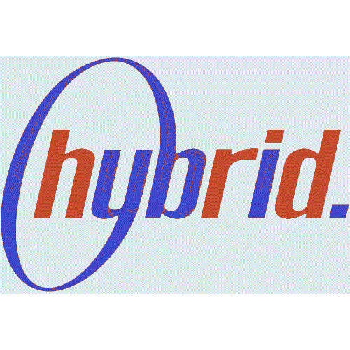 Hybrid Accounting Professional Service Inc. Logo