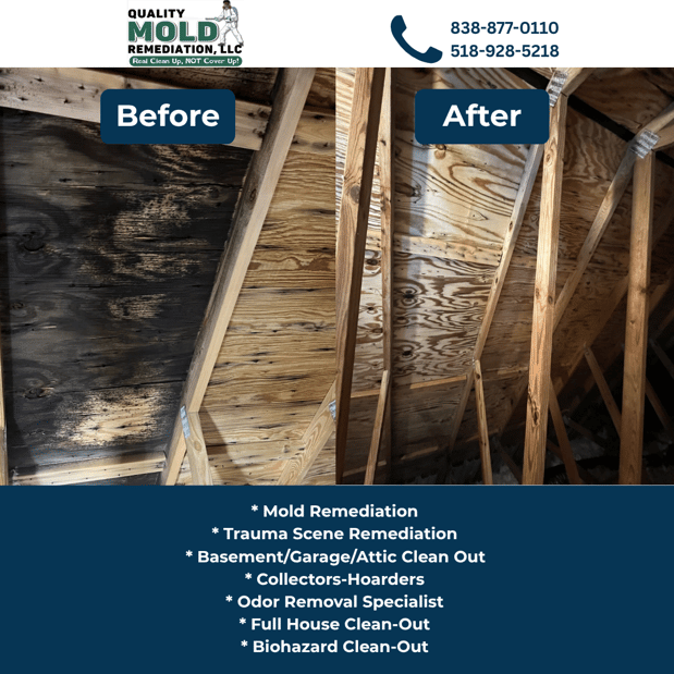 Images Quality Mold Remediation LLC