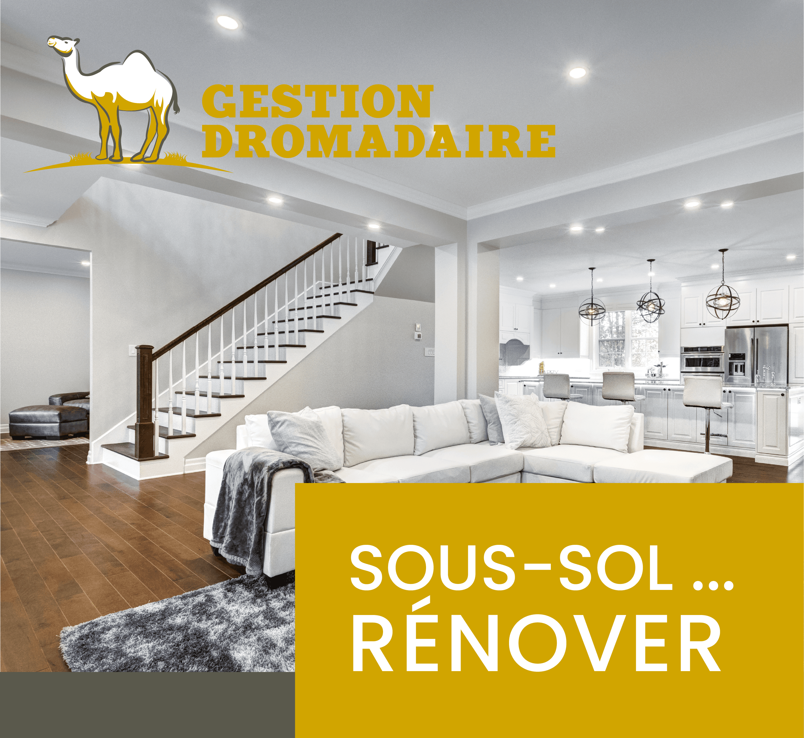 Images Gestion Dromadaire Inc