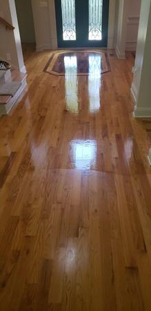 Images Indy Fiber and Surface Cleaning