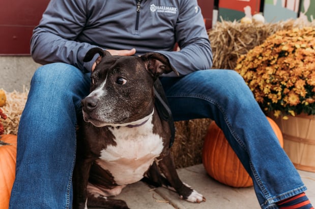 Images Drew Federau - State Farm Insurance Agent