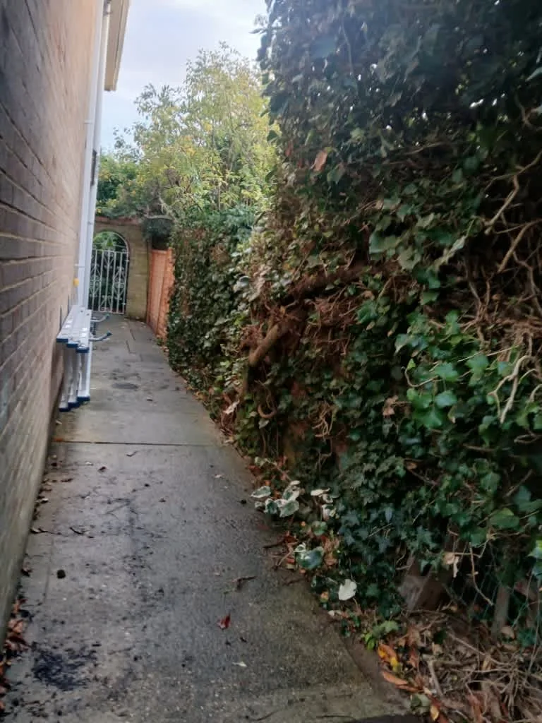 Images Rose Valley Landscapes