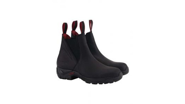 Images Dahrve Hästsport AB