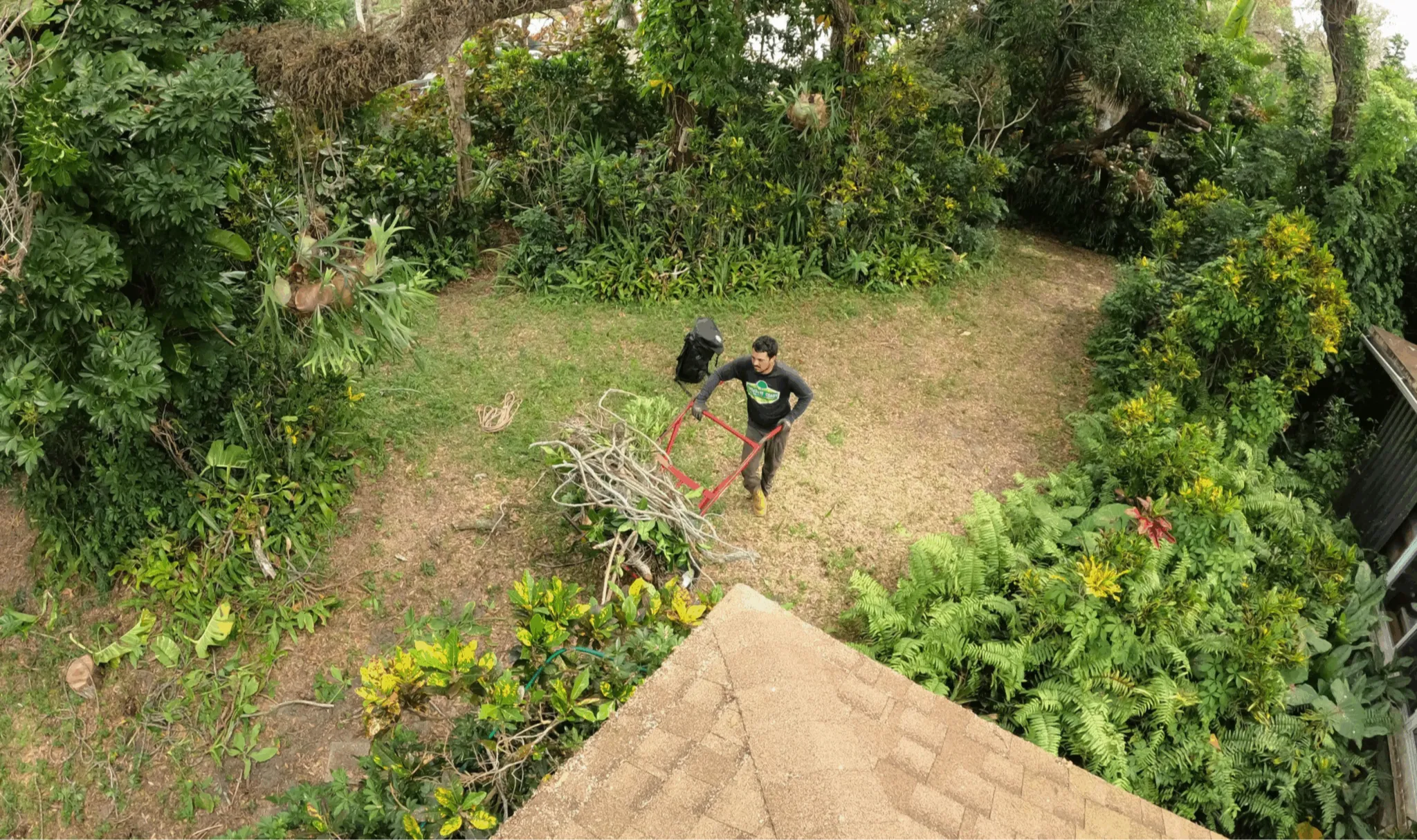 Sod Installation & Lawn Services