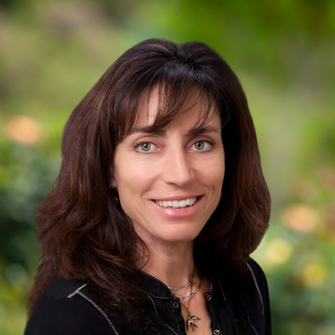 Laurie A. Karl