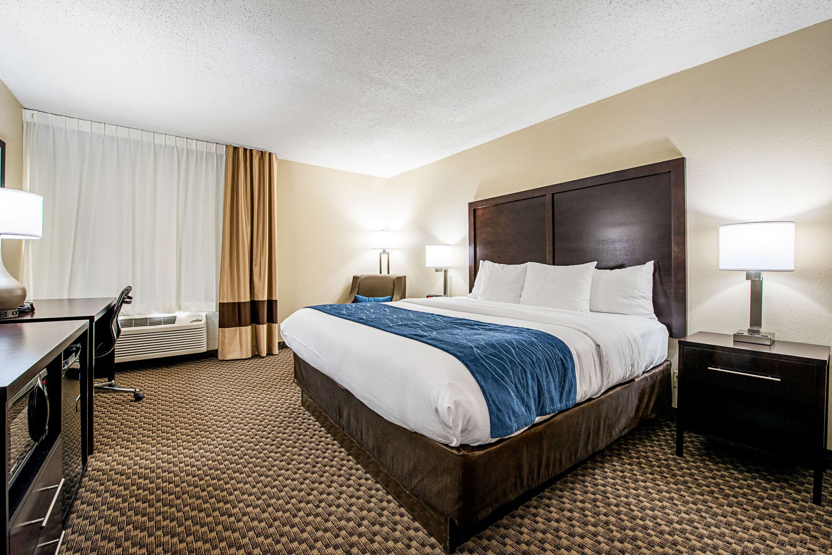 Guest room with king bed(s)