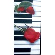 Magness Piano Services