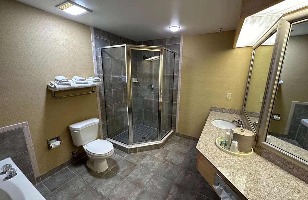 Robinson Suite Bathroom