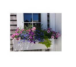 Images Deborah L. Wilson Garden Services LLC