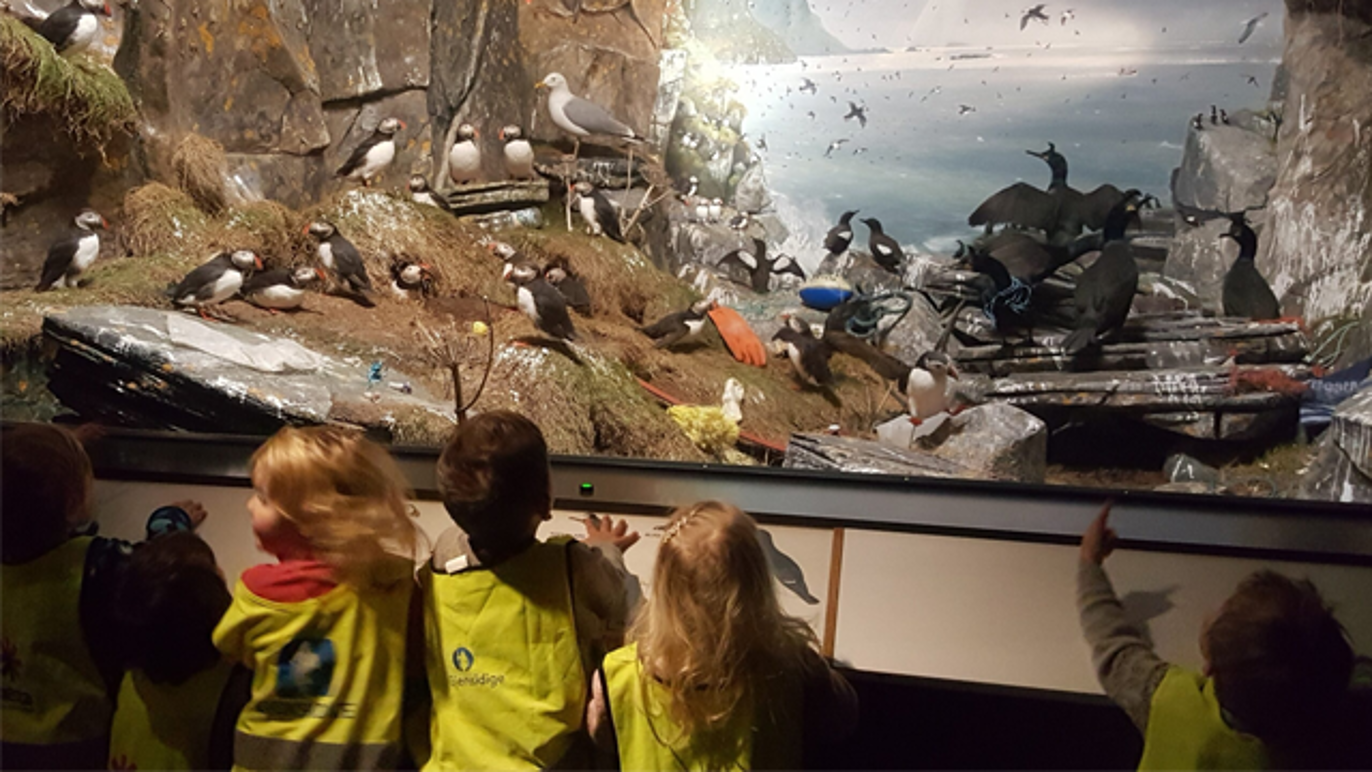 Images Furuly Bhg AS