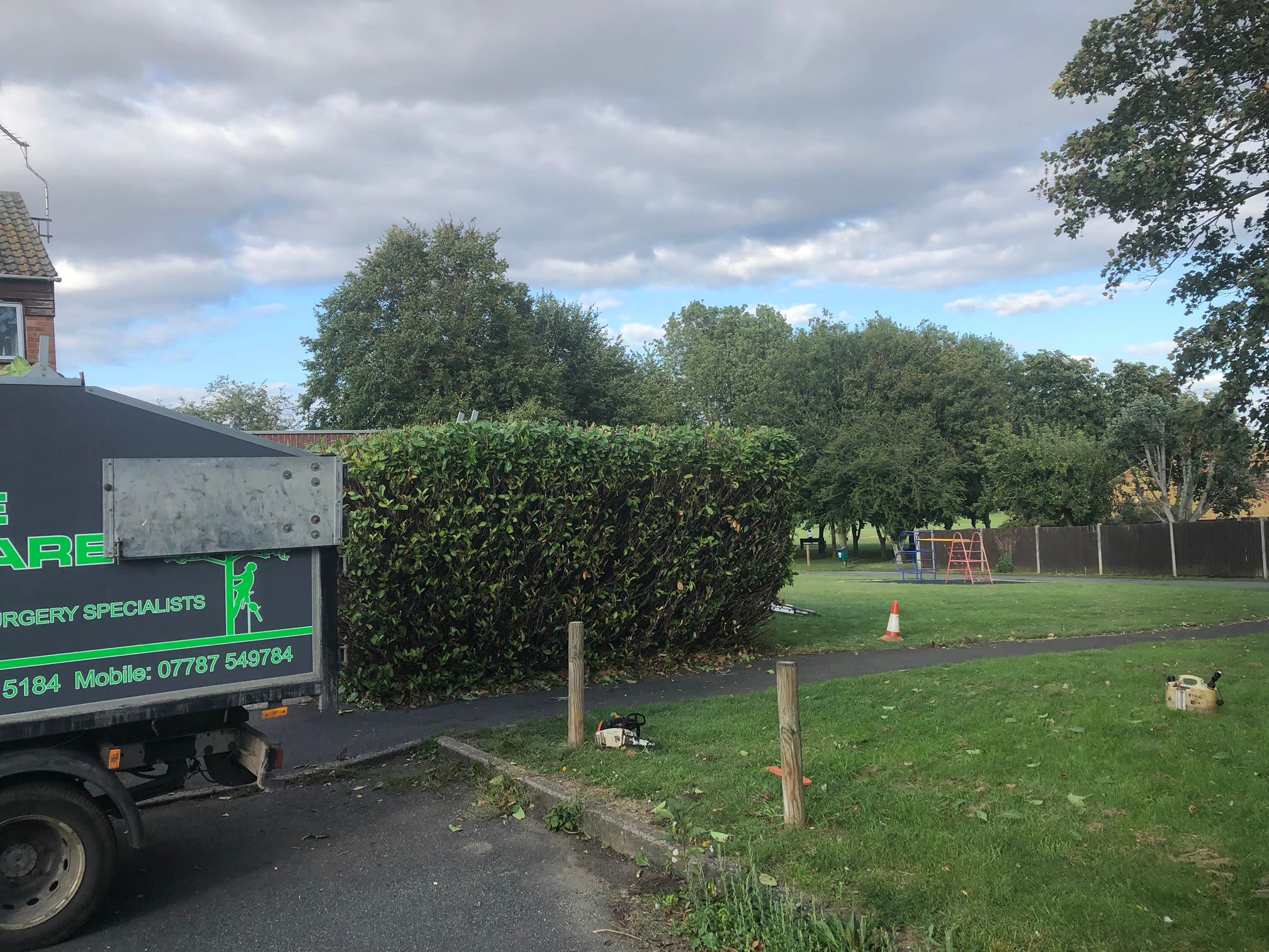 Images LW Tree and Hedge Care