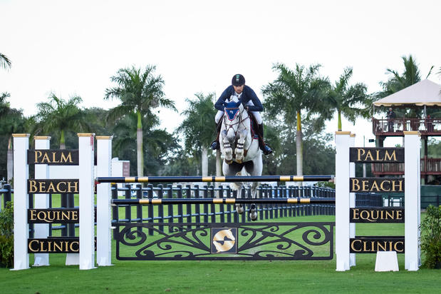 Images Palm Beach Equine Clinic