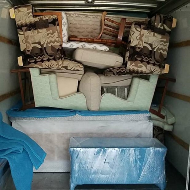 Images Swamp Rabbit Moving