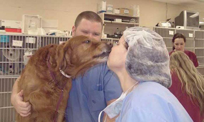 Image 2 | Katonah Bedford Veterinary Center