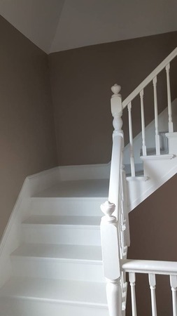 Images Dogtown Home Improvement &Painting