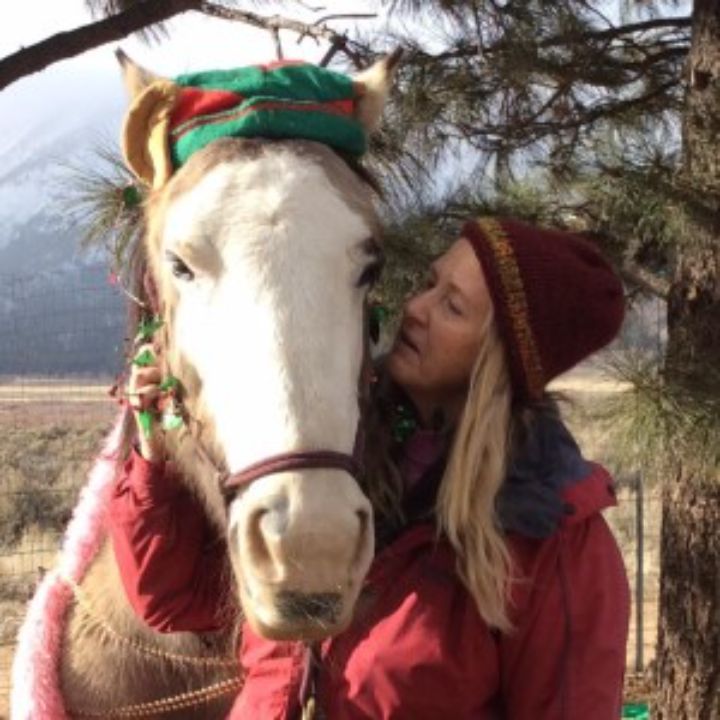 EAHAE International Association for Horse Assisted Education in Schkölen