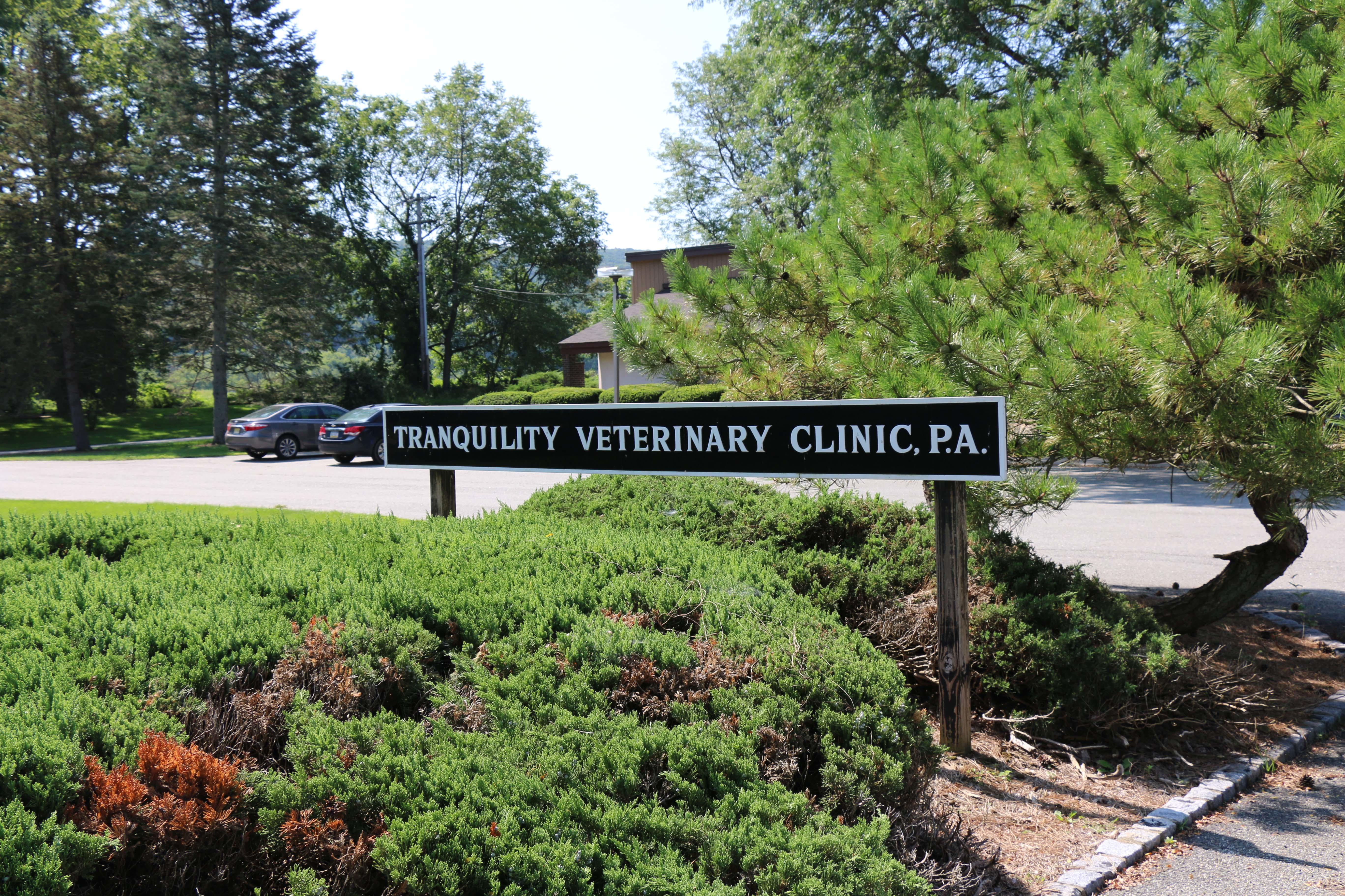 Since 1974, we've provided modern and reliable veterinary care for the dogs and cats of Sussex County.