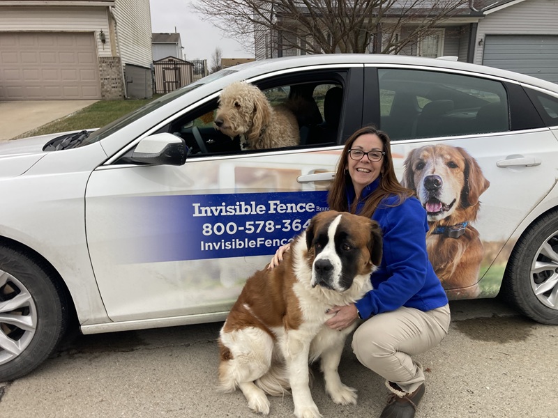 Dogs getting ready for Invisible Fence® training in Macomb County, Michigan