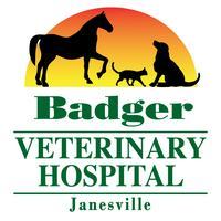 Badger Veterinary Hospital Janesville