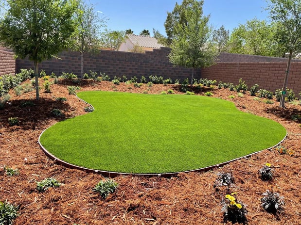 Images Nevada Turf Installers