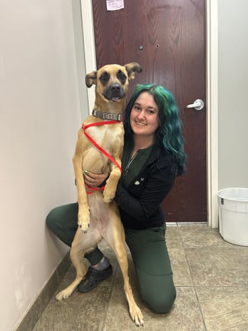 Images VCA All Pet Animal Hospital/Taylorsville