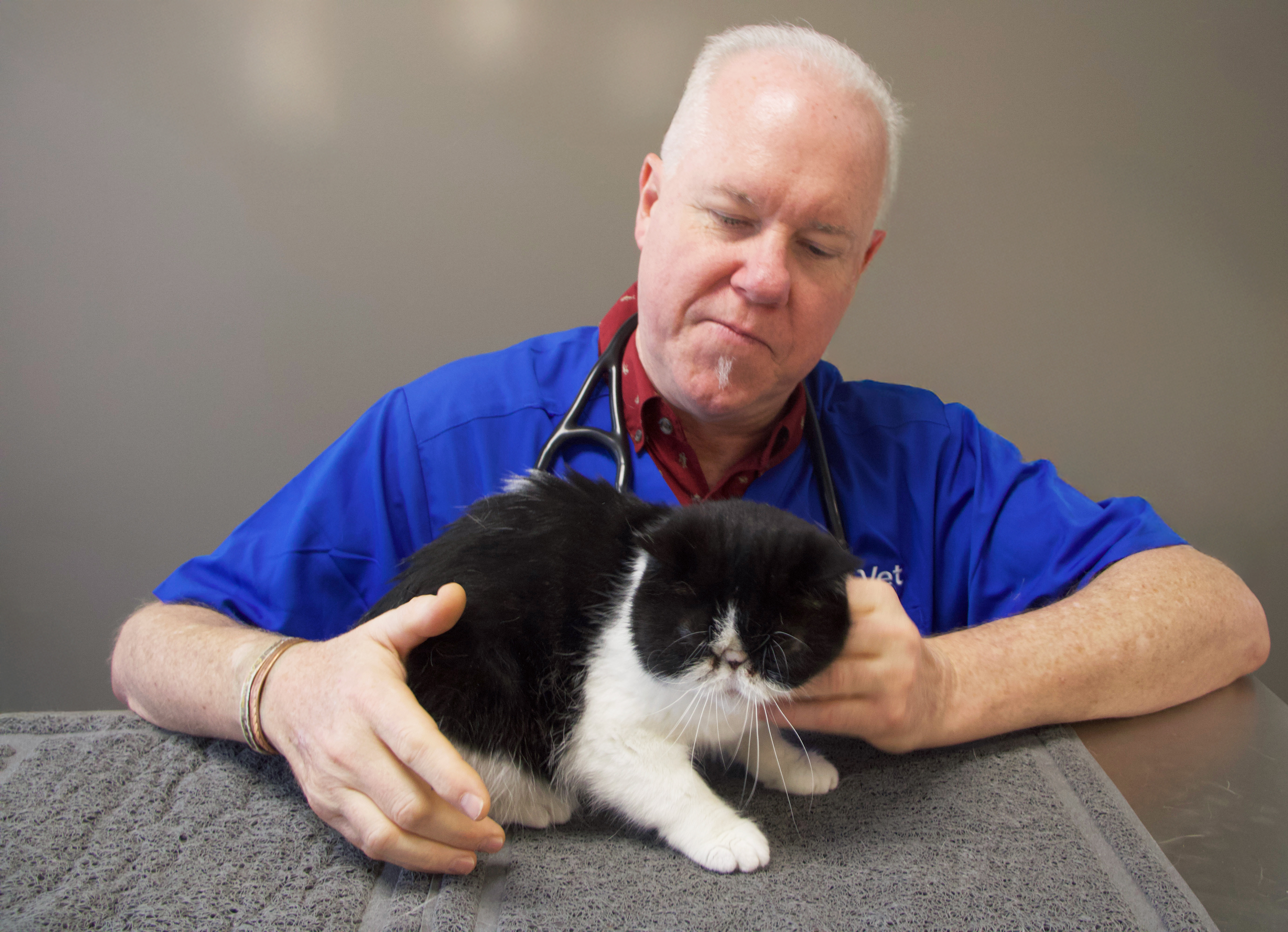CityVet | Saratoga Springs Veterinary Clinic & Urgent Care
