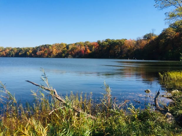 Images Eagle Creek by Spark Living