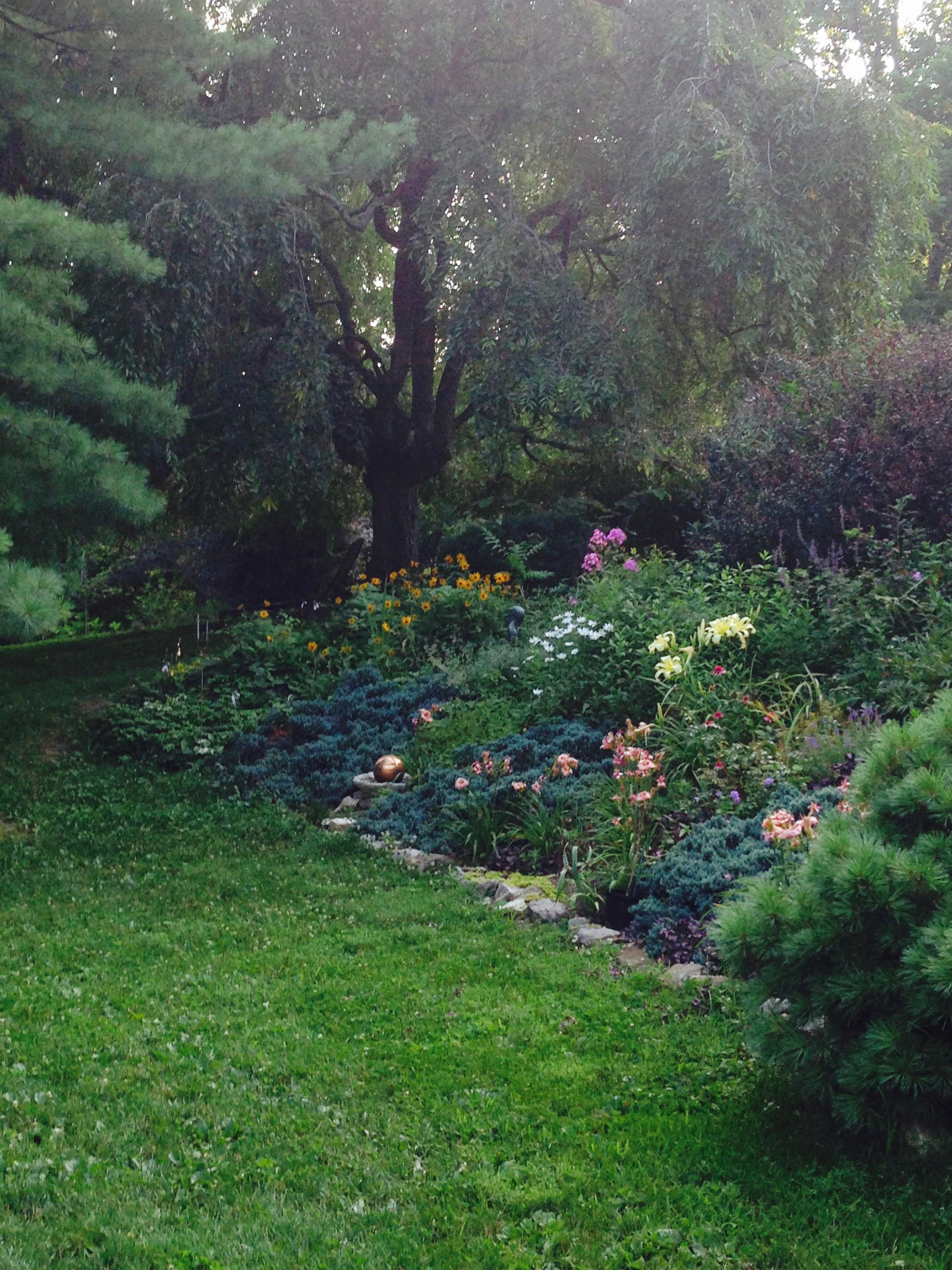 Carothers &amp; Company Logo