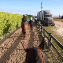 Center Peace Farm Image