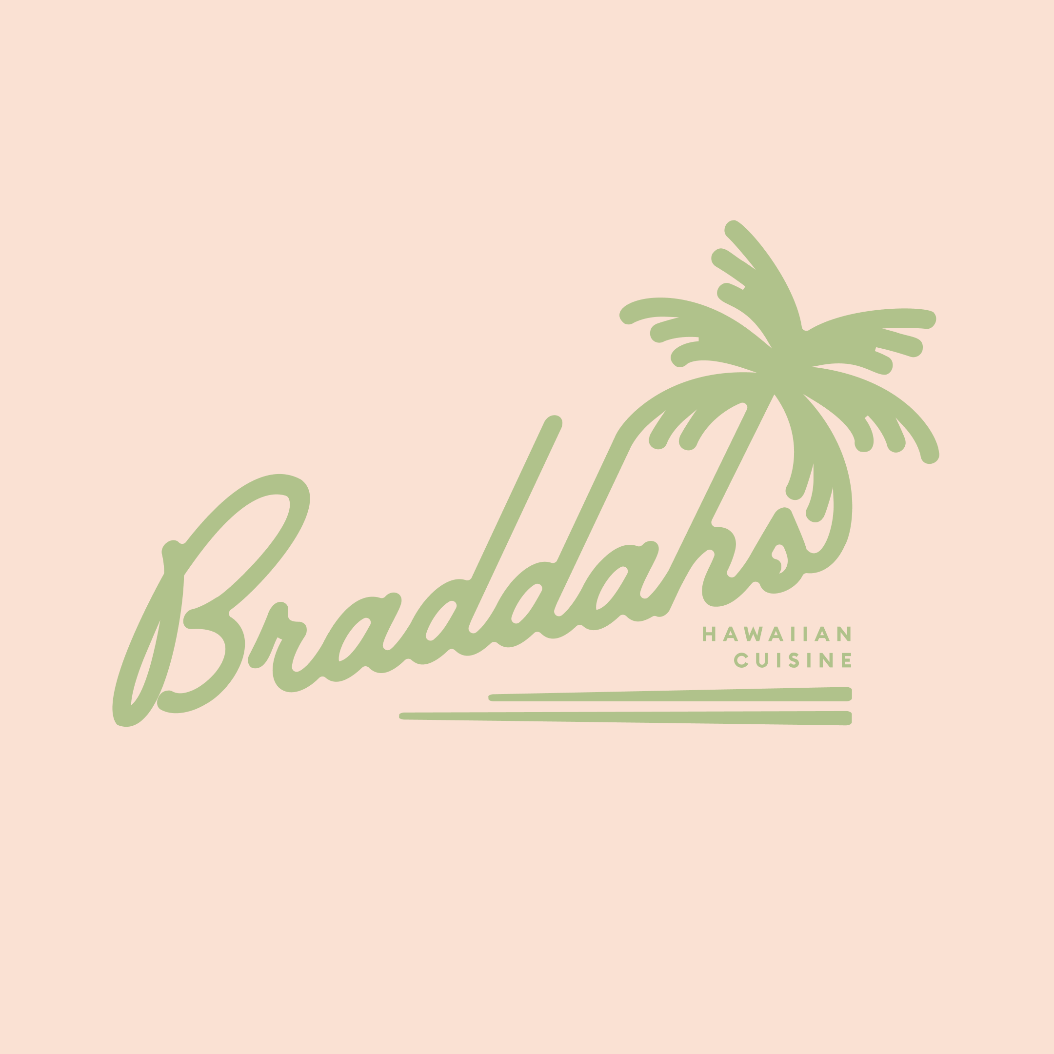 Braddah's Hawaiian BBQ - New York, NY 10011 - (929)367-0425 | ShowMeLocal.com