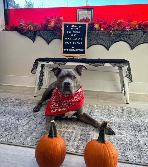 Images Sasha Buerano - State Farm Insurance Agent