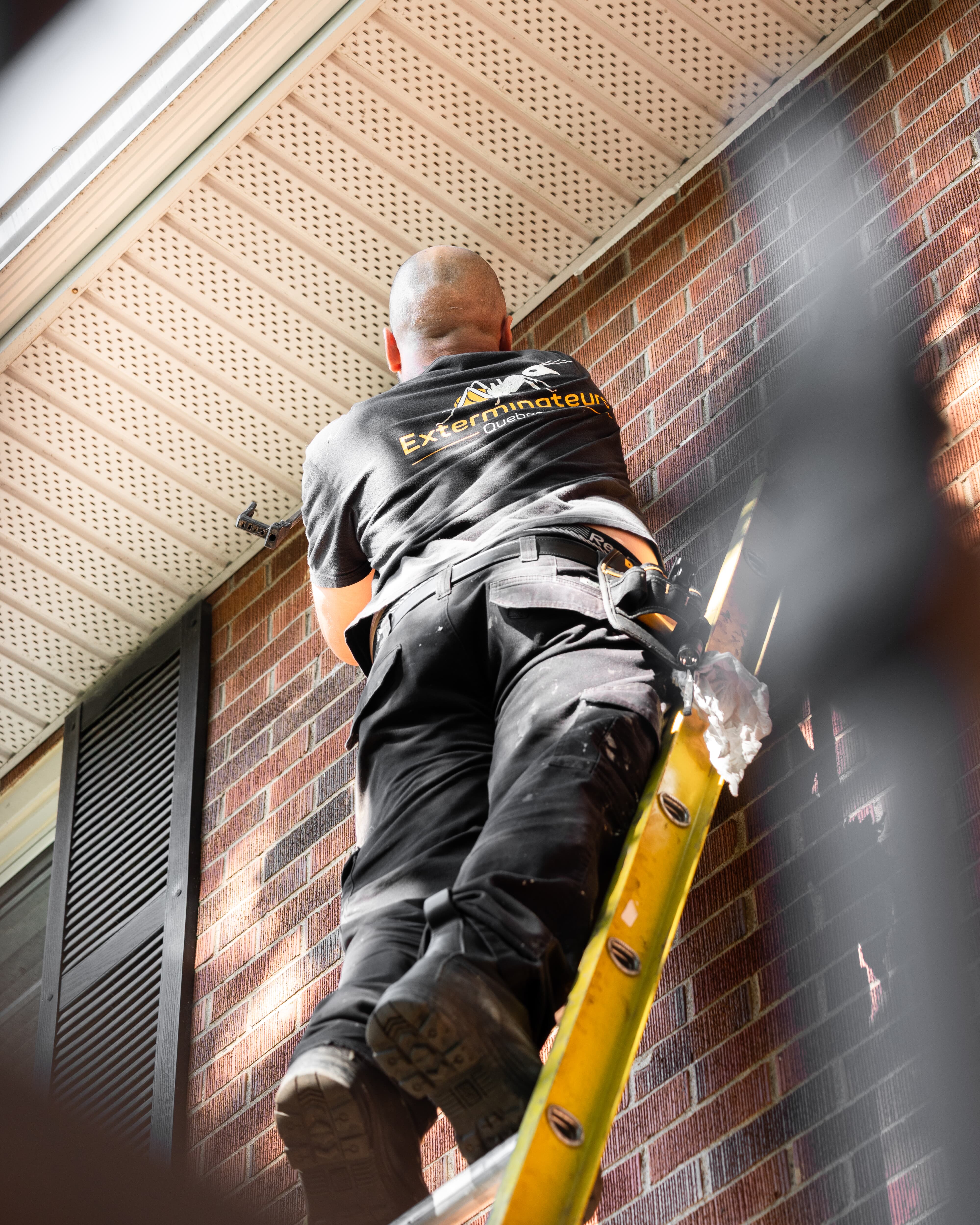 Images Exterminateurs Québec