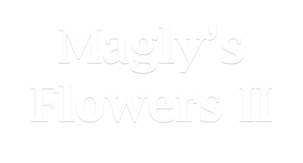 Images Magly's Flowers II