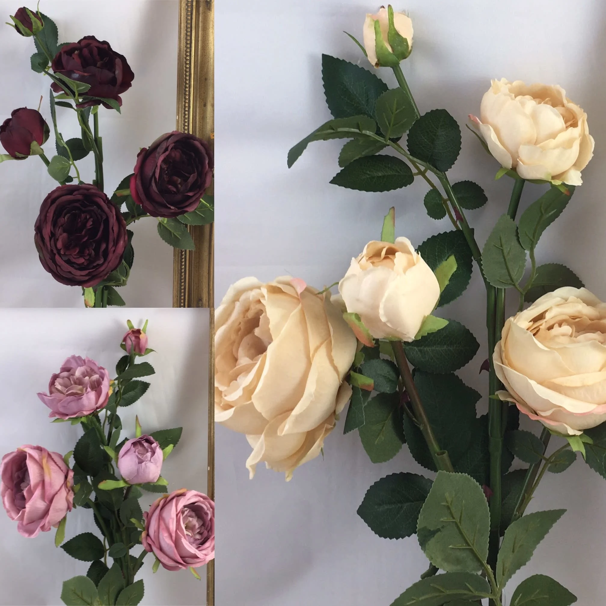 Images Village Green Wholesale Ltd