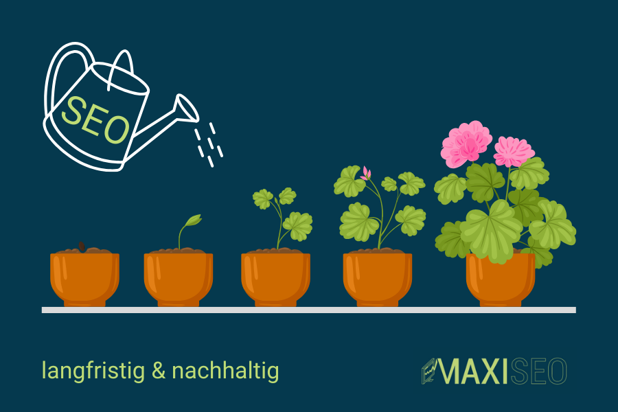 Bild 3 SEO-Experte Maximilian Braig in Laupheim