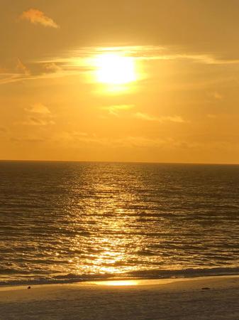 Images PMI Gulf Coast