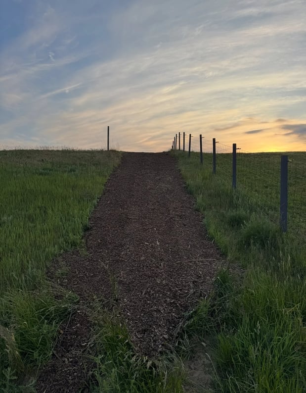 Images Peaches Excavating