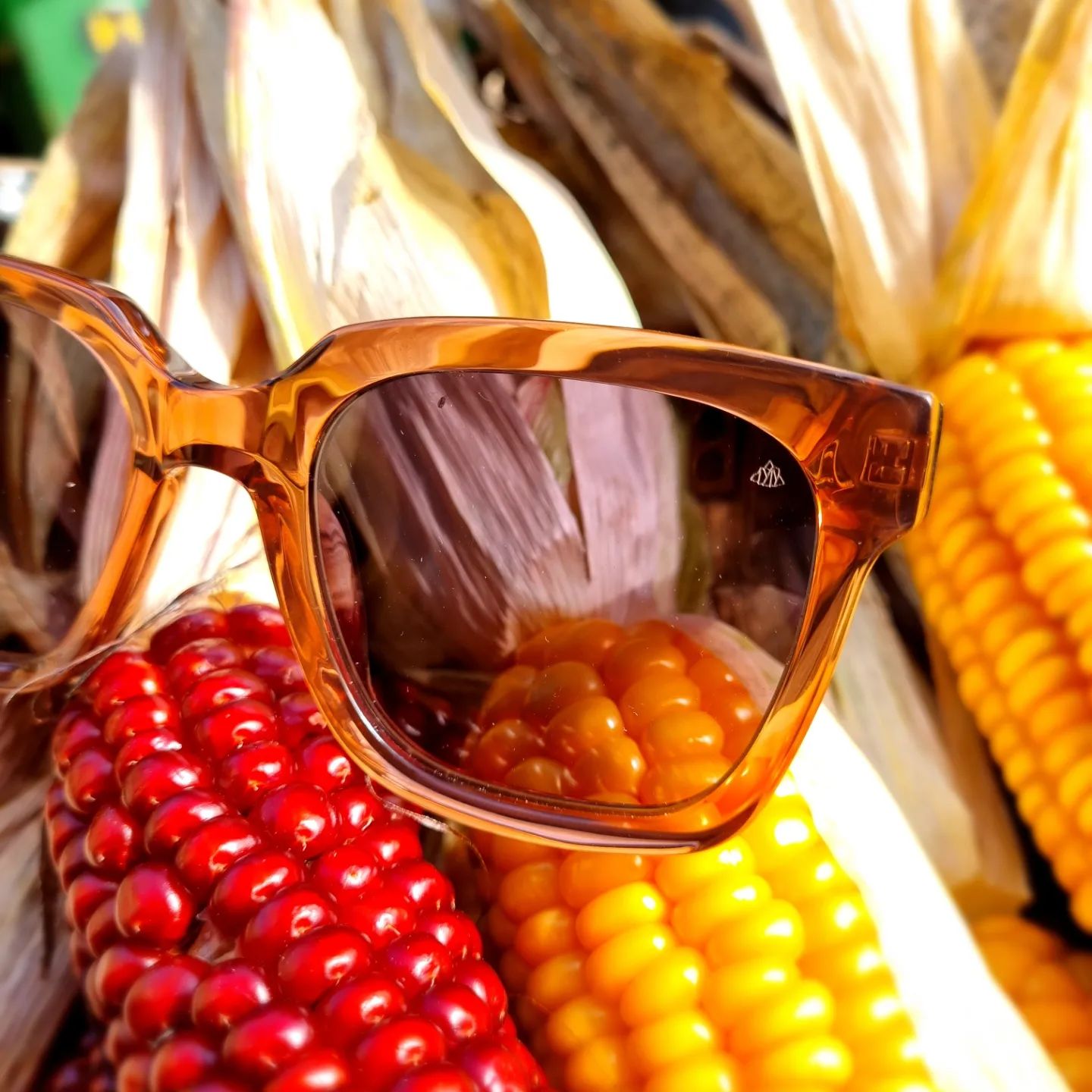 SichtArt Optik AG, Hauptstrasse 71 in Aesch