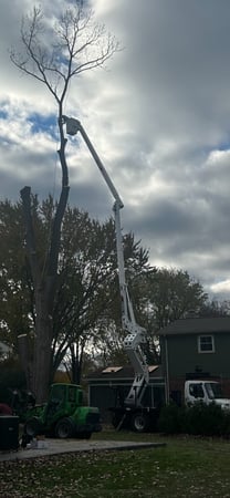 Images Spears Tree Experts Inc.