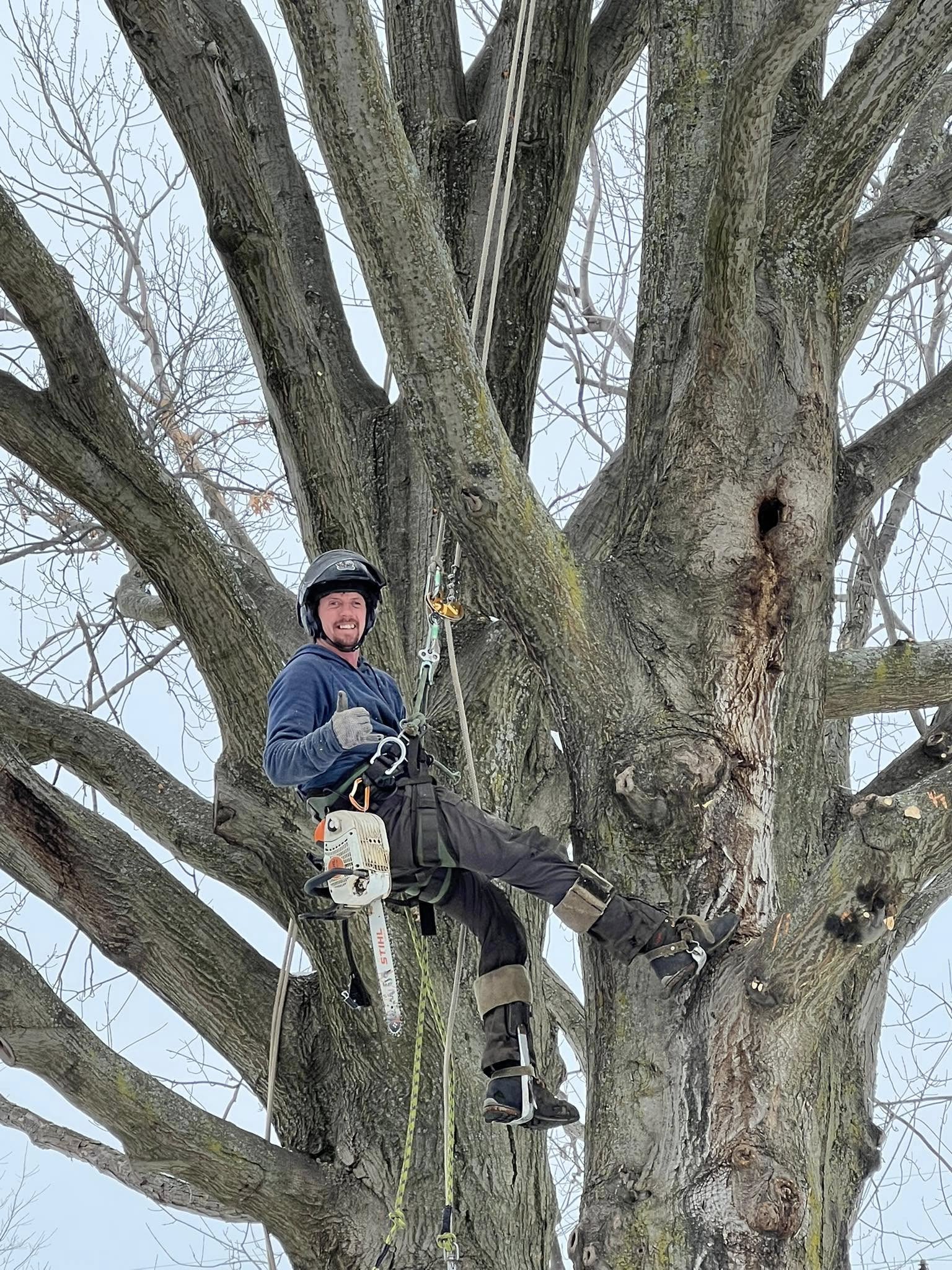 Lucca Landscaping & Construction LLC offers reliable tree cutting services to help manage overgrown, hazardous, or unwanted trees on your property. We handle each job with safety and precision, making sure your landscape remains clean and secure. Our team is experienced in working with trees of all sizes and types, ensuring efficient service with professional results. We’re committed to keeping your outdoor space well-maintained and safe.