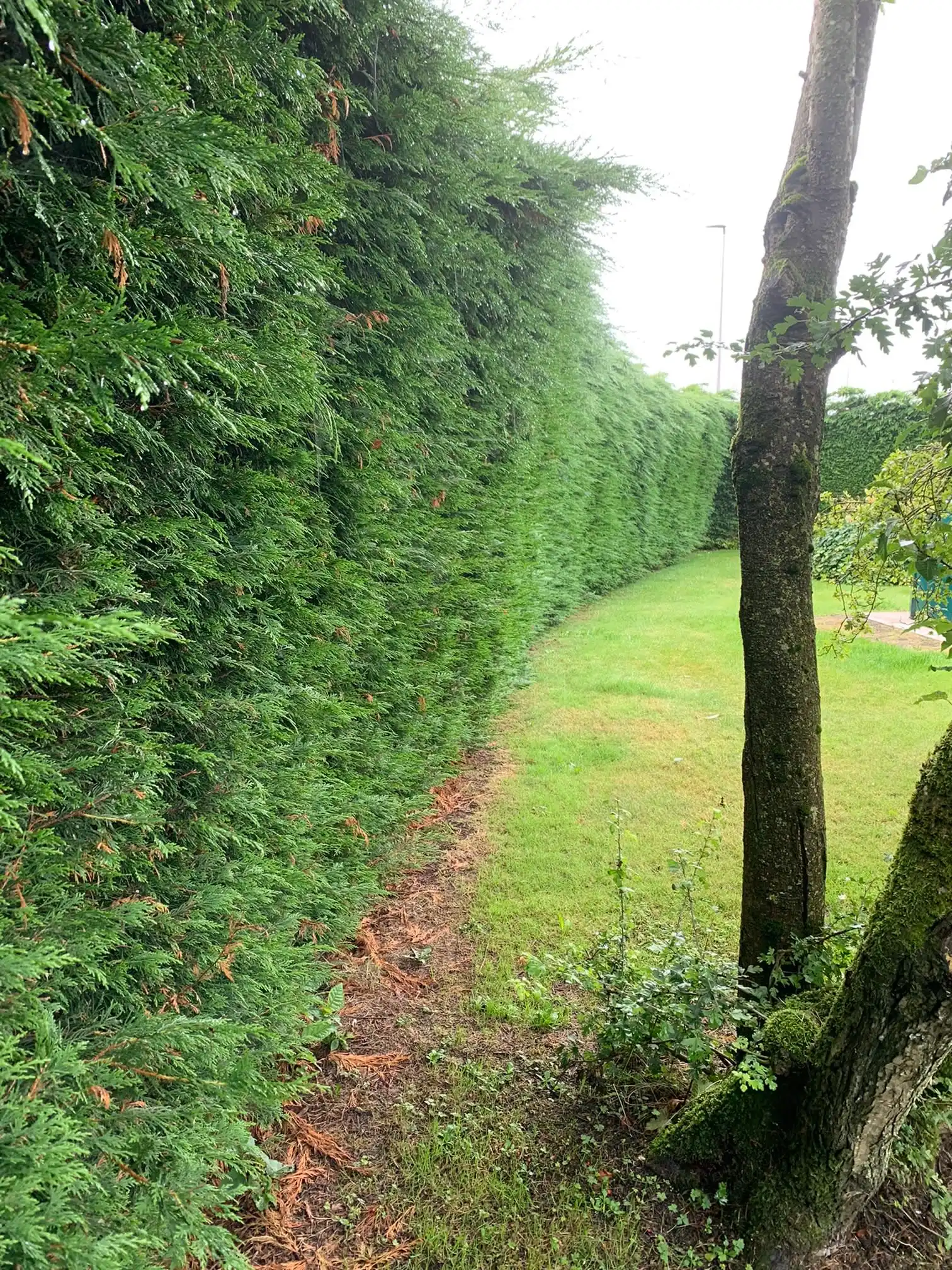 Images G4 Landscaping & Property Maintenance