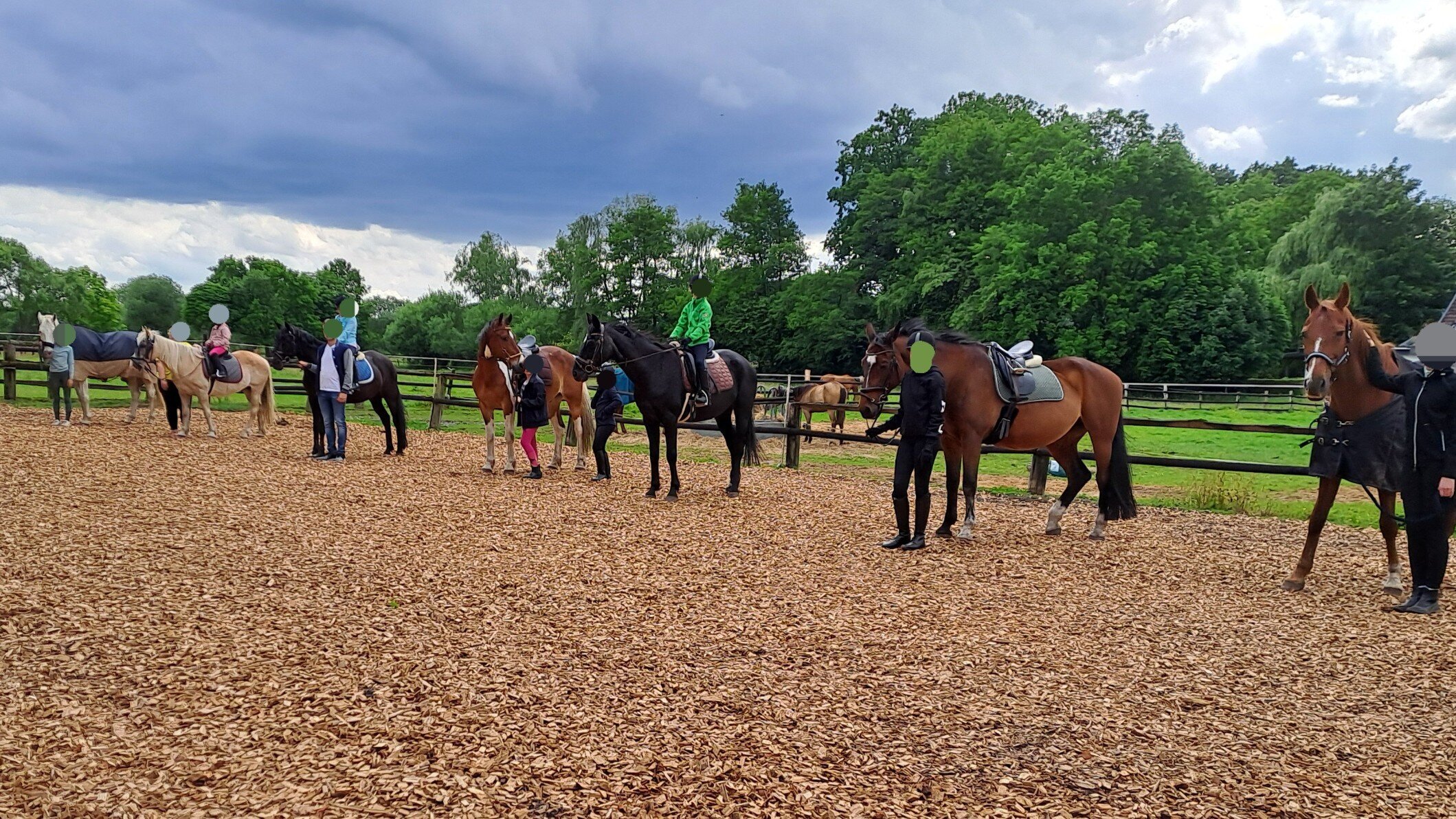 Bilder Reitschule Katja Seba