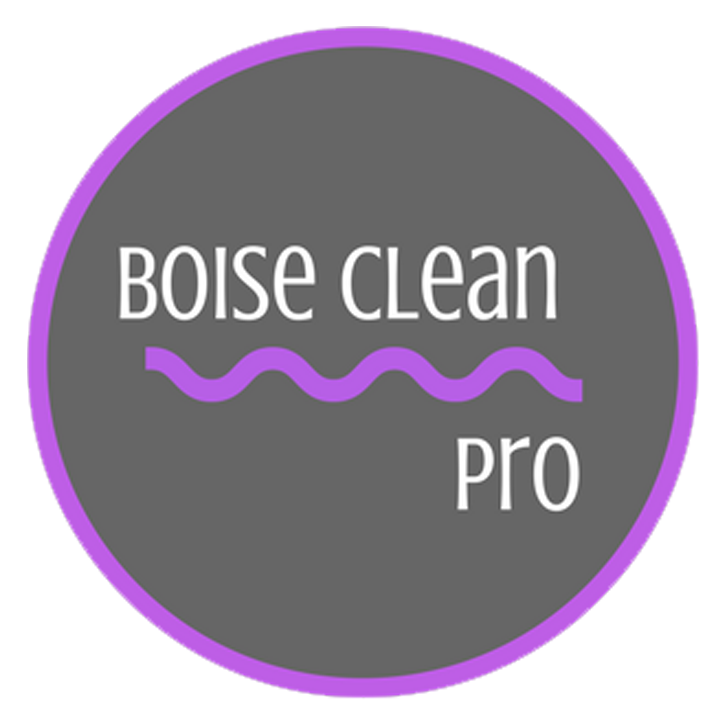 Clean Pro. ID - Boise. Top clean надпись. Clean ids